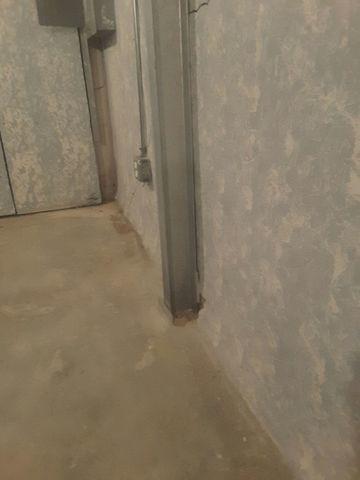 PowerBrace Appearance