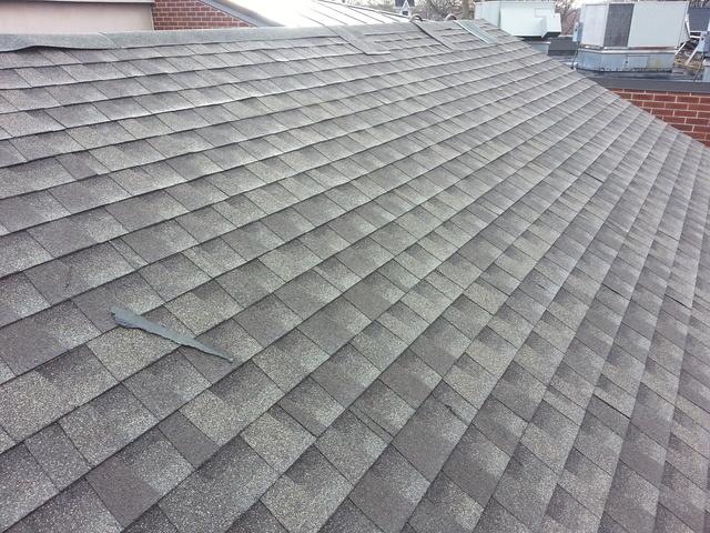 Completed Roof Section