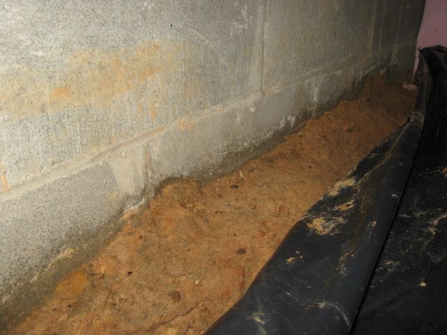 Moisture & Soil