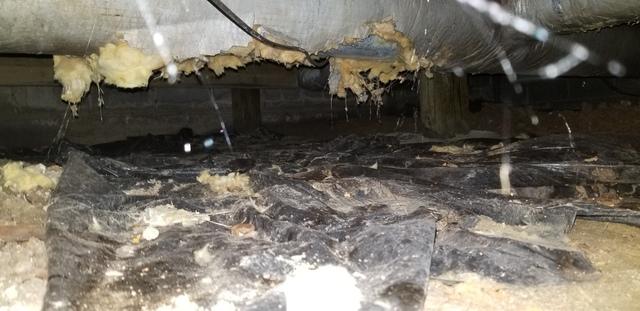 Unhealthy Crawl Space