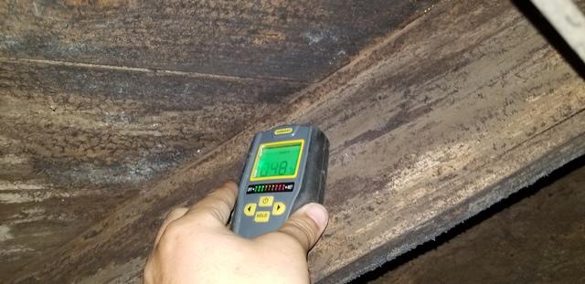 Wood Moisture Content