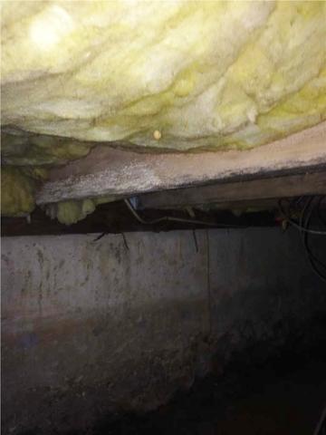 Unhealthy Crawl Space Walls