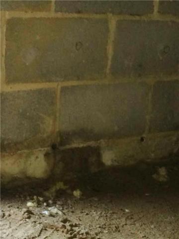 Water Stains in Crawl Space