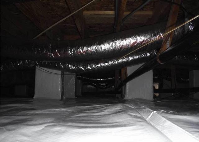 Protecting the Crawl Space for Rodents and Bugs