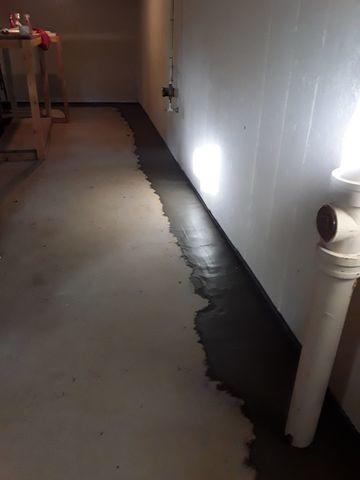 The WaterGuard System