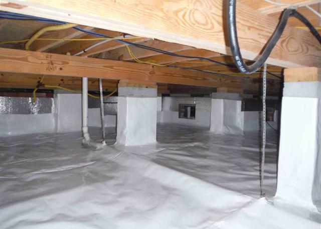 No More Mold and Mildew