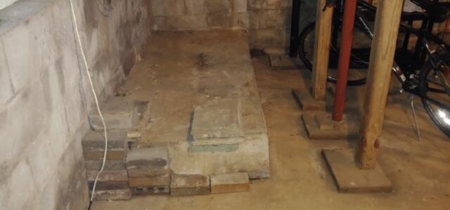 Organic Materials in the basement