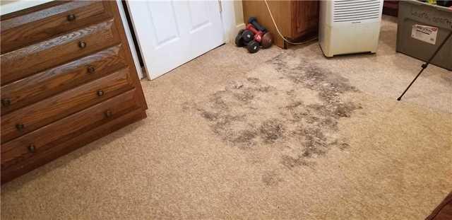 Water Seepage in Montclair, NJ Home