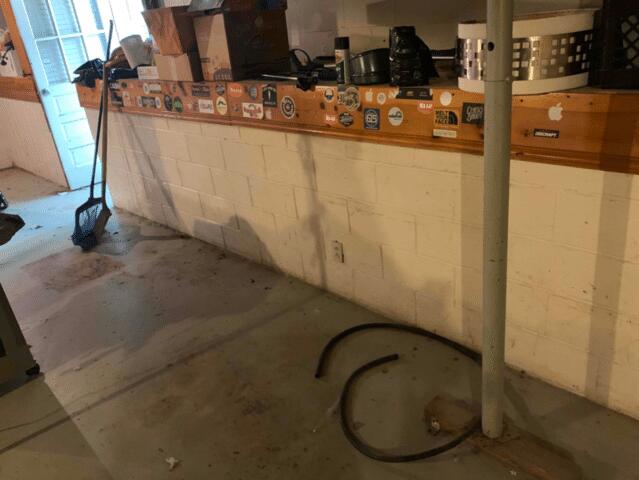Useless Basement in Nashville, TN