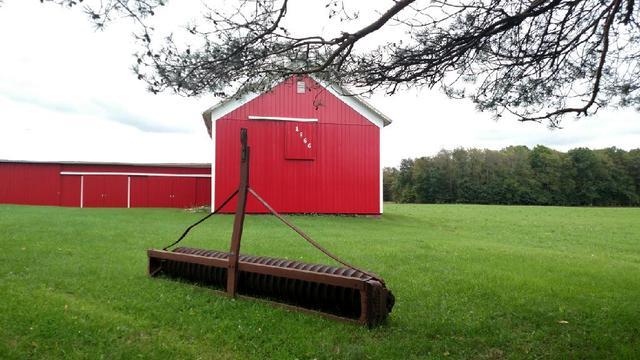 Vertical siding in Rockford