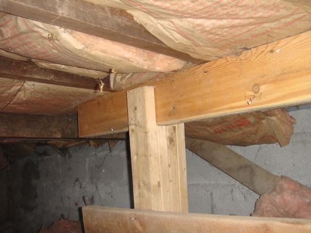 Crawl Space Damage in Lkae Peekskill, CT