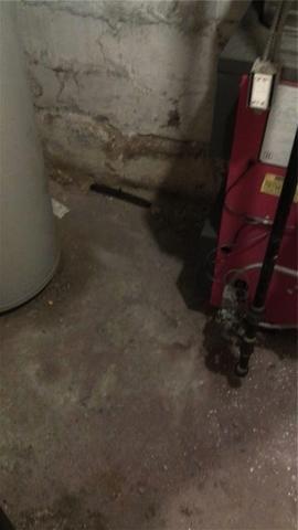 Damp Basement