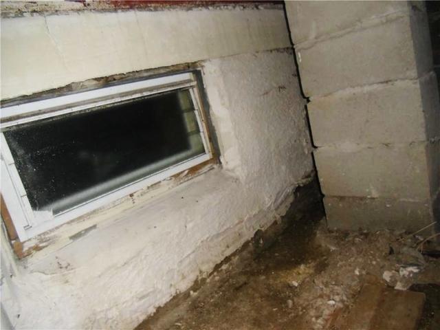 Signs of Wet Basement