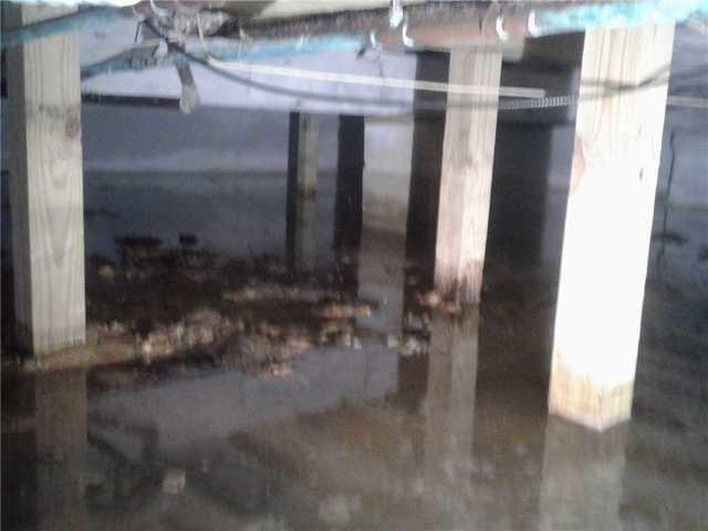 Standing Water & Weak Support System