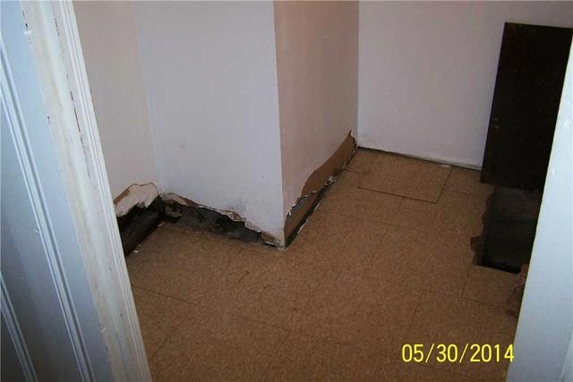 Mold?