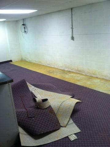 Removing Carpet to be disposed of in Leitchfield, KY basement