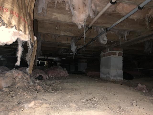 Crawl Space Floor Joists Before