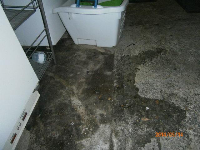 Puddle in Ivoryton, CT