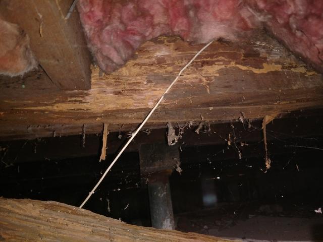 Rotting Floor Joist in Nashville, TN