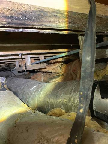 finding some nasty surprises