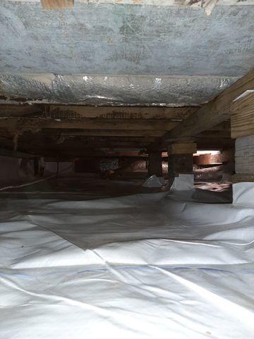 Cleaning up the Crawlspace with CleanSpace