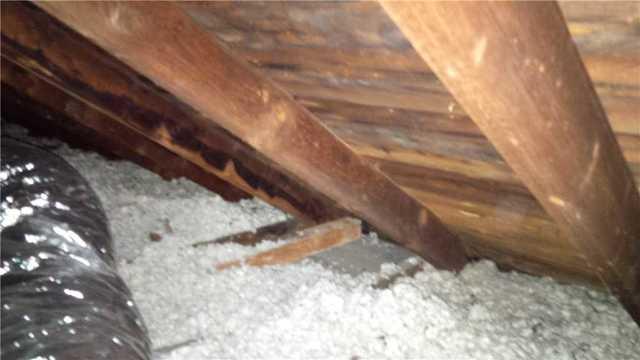 Tru-Soft Cellulose Insulation