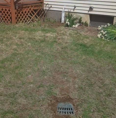 IceGuard & LawnScape