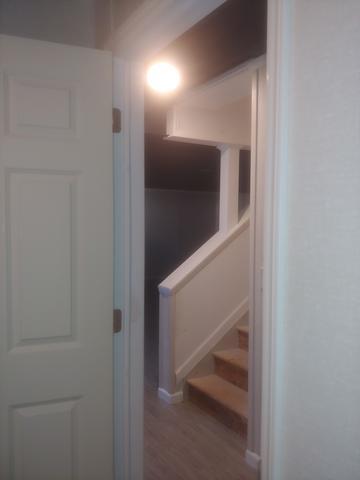 New Basement in Rochester 8