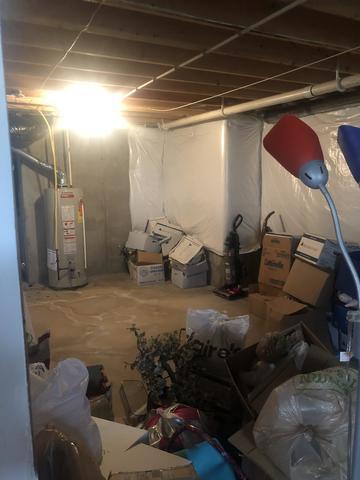 Rochester Basement 5