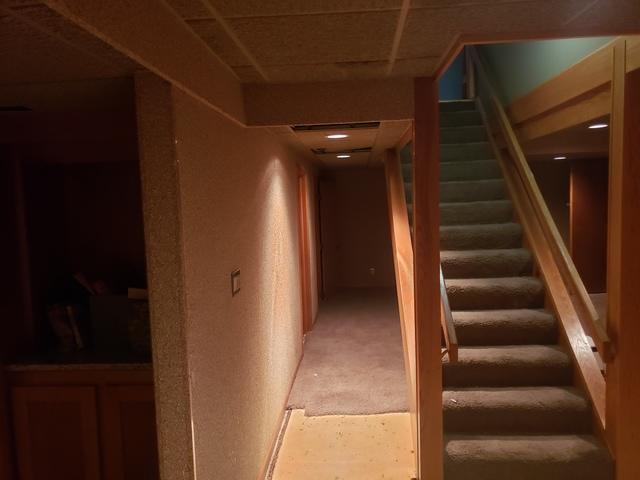 Before shot of stairs and old carpet