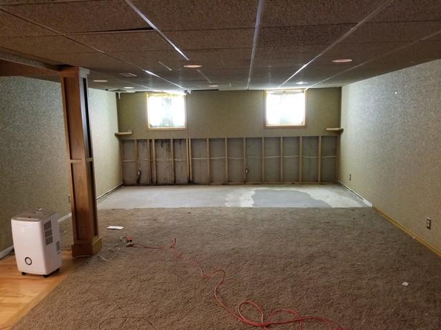 Carpeted to Crisp in Orchard Park