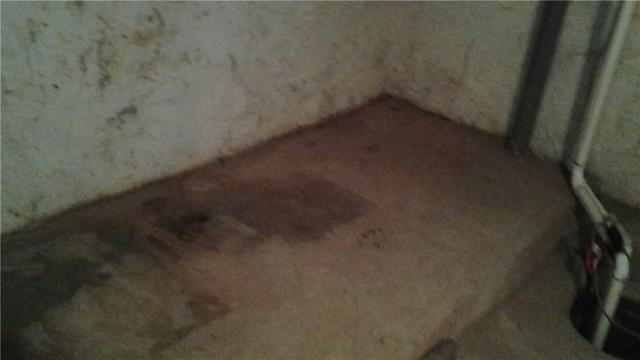 Damp Basement