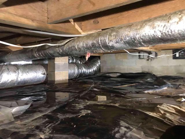 Wet Crawl Space