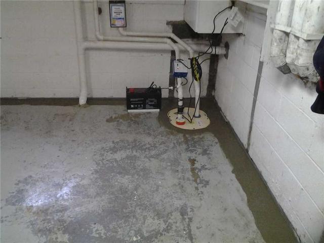 TripleSafe Sump Pump