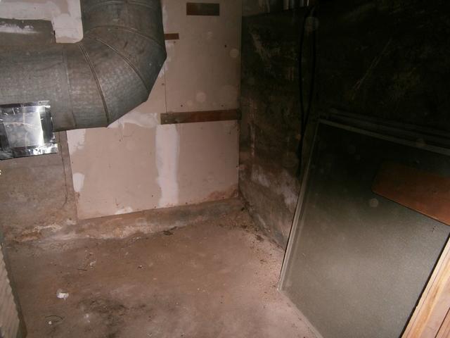 Moldy Basement in Gaylordsville, CT