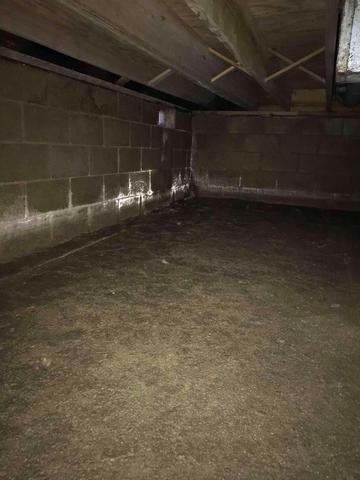 Before Sealing Crawl Space