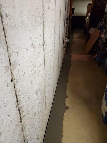 WaterGuard Drainage System