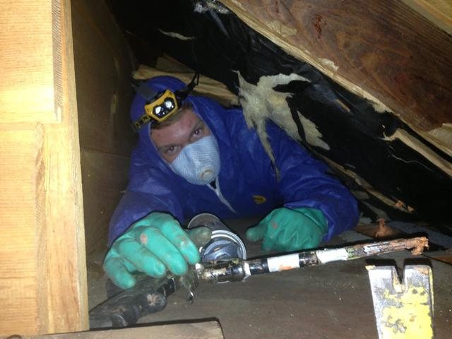 Air Sealing