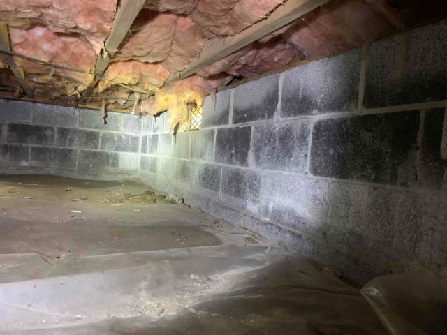 Efflorescence on Crawl Space Walls