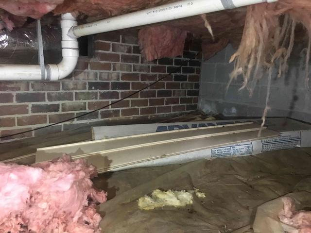 Falling Insulation in Williamsburg Crawl Space.
