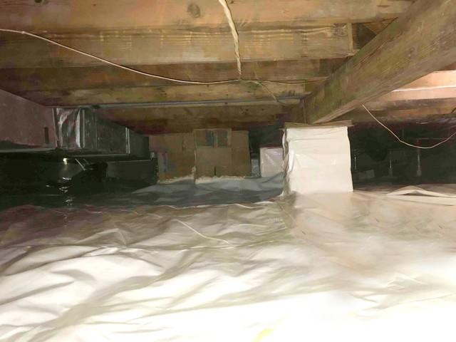 CleanSpace Vapor Barrier