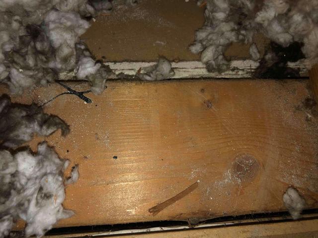 Open Top Plates in Attic