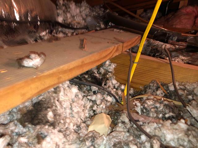 Dirty Attic Insulation