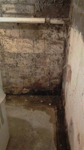 Every Corner Wet & Moldy