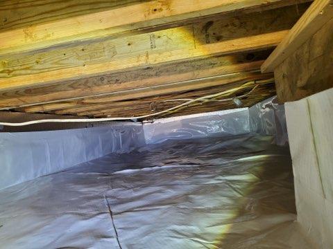 Encapsulated in CleanSpace