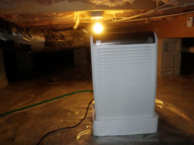 Milton, Delaware Crawlspace Dehumidifier Crawlspace Repair