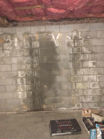 Basement Before