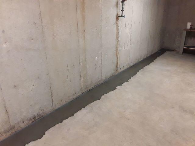 The WaterGuard System