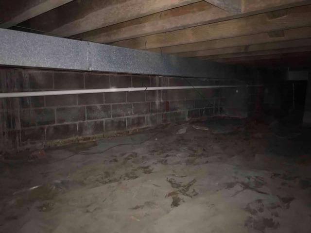 Crawl Space Wall Before