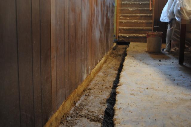 WaterGuard Leading to Stairs